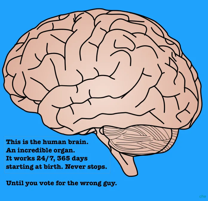 A cartoon illustration of a human brain against a solid blue background. Text overlaid in black font states: 'This is the…