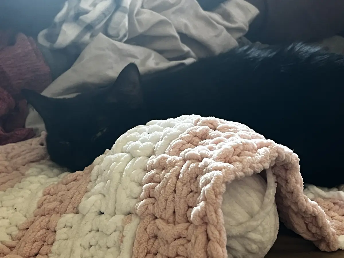 A black cat is partially hidden under a chunky knit blanket with pink and white stripes, appearing to be resting or sleeping…