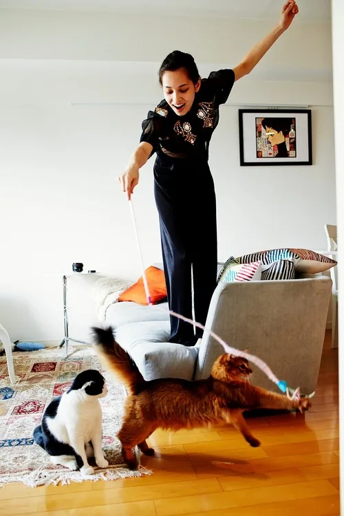 A woman in a black dress stands on a couch, joyfully holding a cat toy on a string, while a ginger cat lunges at it and a…