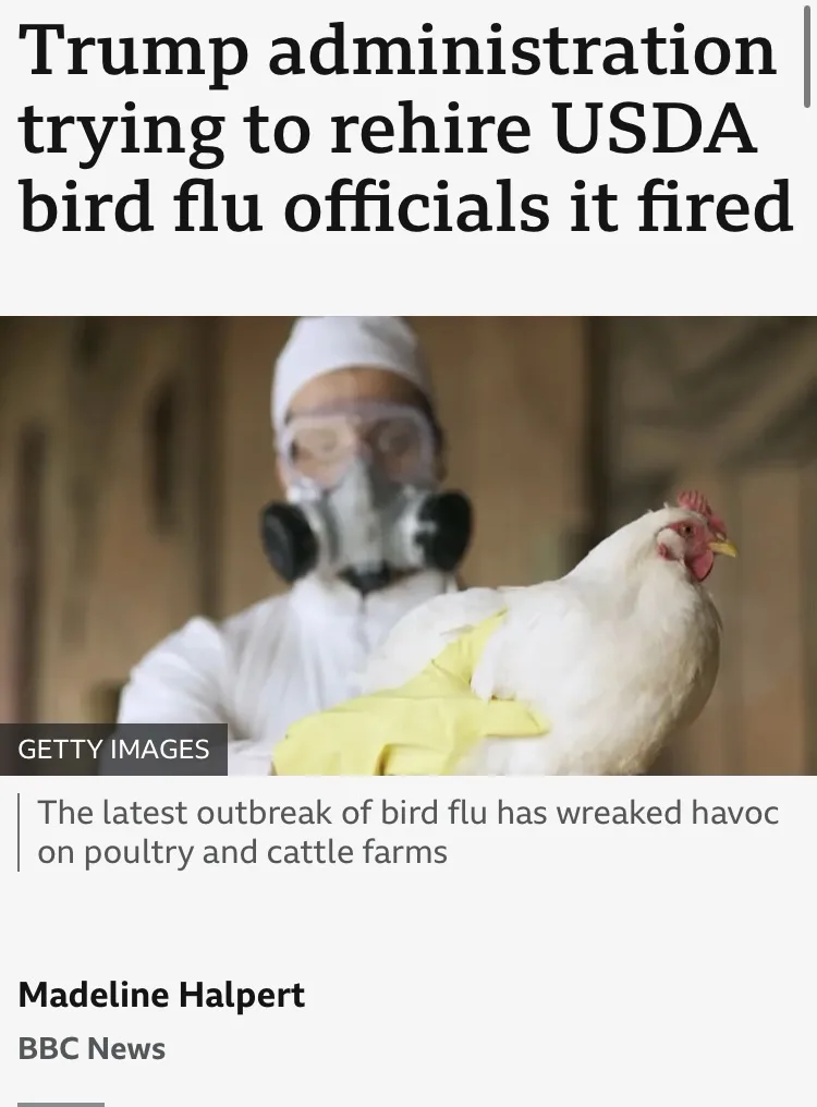 A person in full hazmat gear, including a gas mask and white suit, holds a white chicken. The image is overlaid with a news…