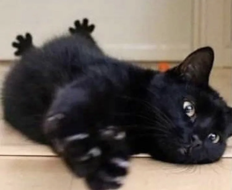 The Perfect Stretch to Start Your Day