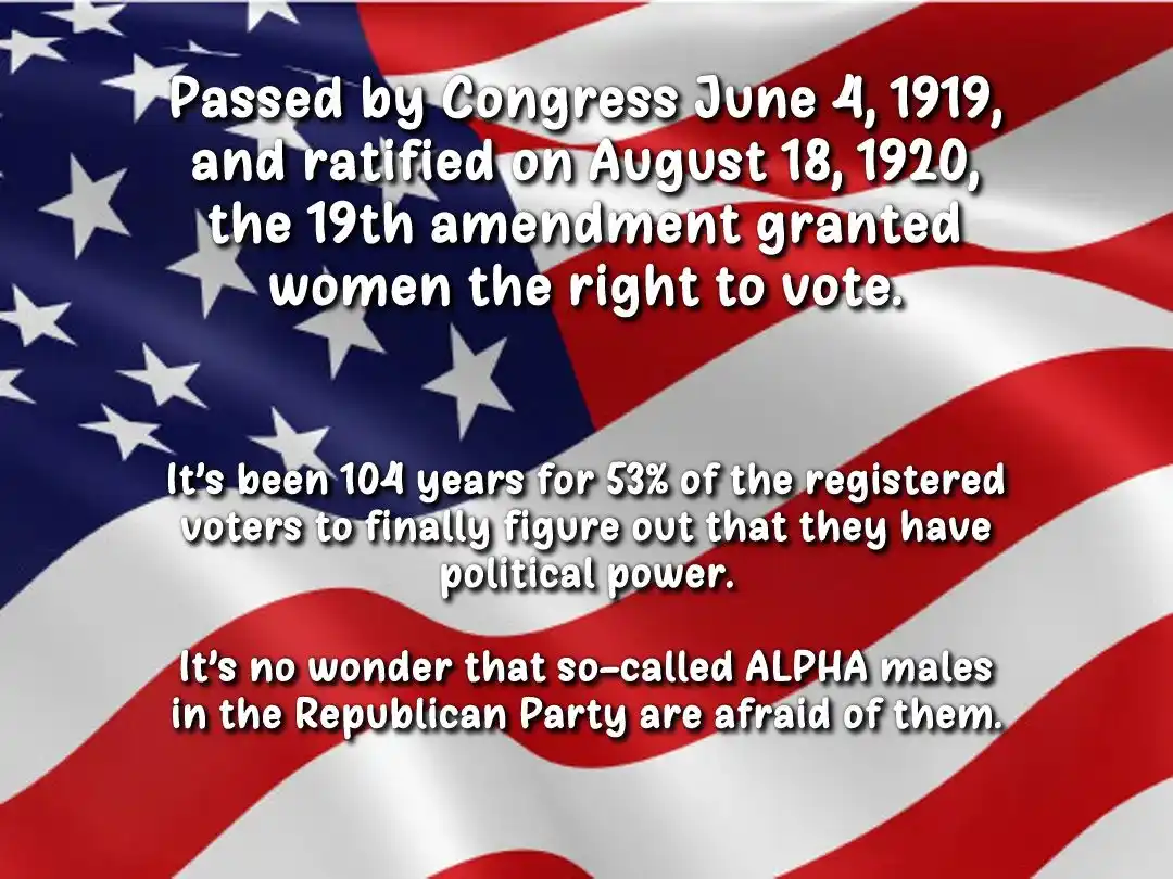 An American flag background with white text overlaid in three paragraphs. The top paragraph states the 19th amendment…