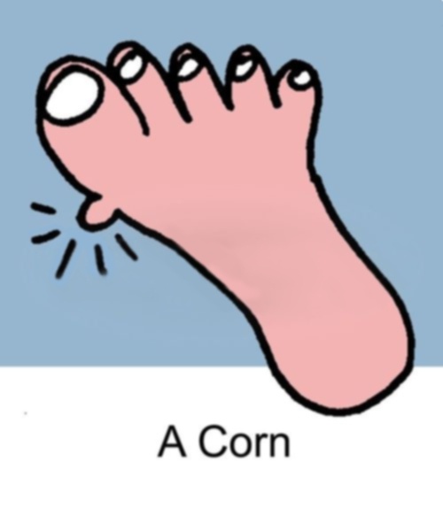 Just a Corn, but it’s got a story!