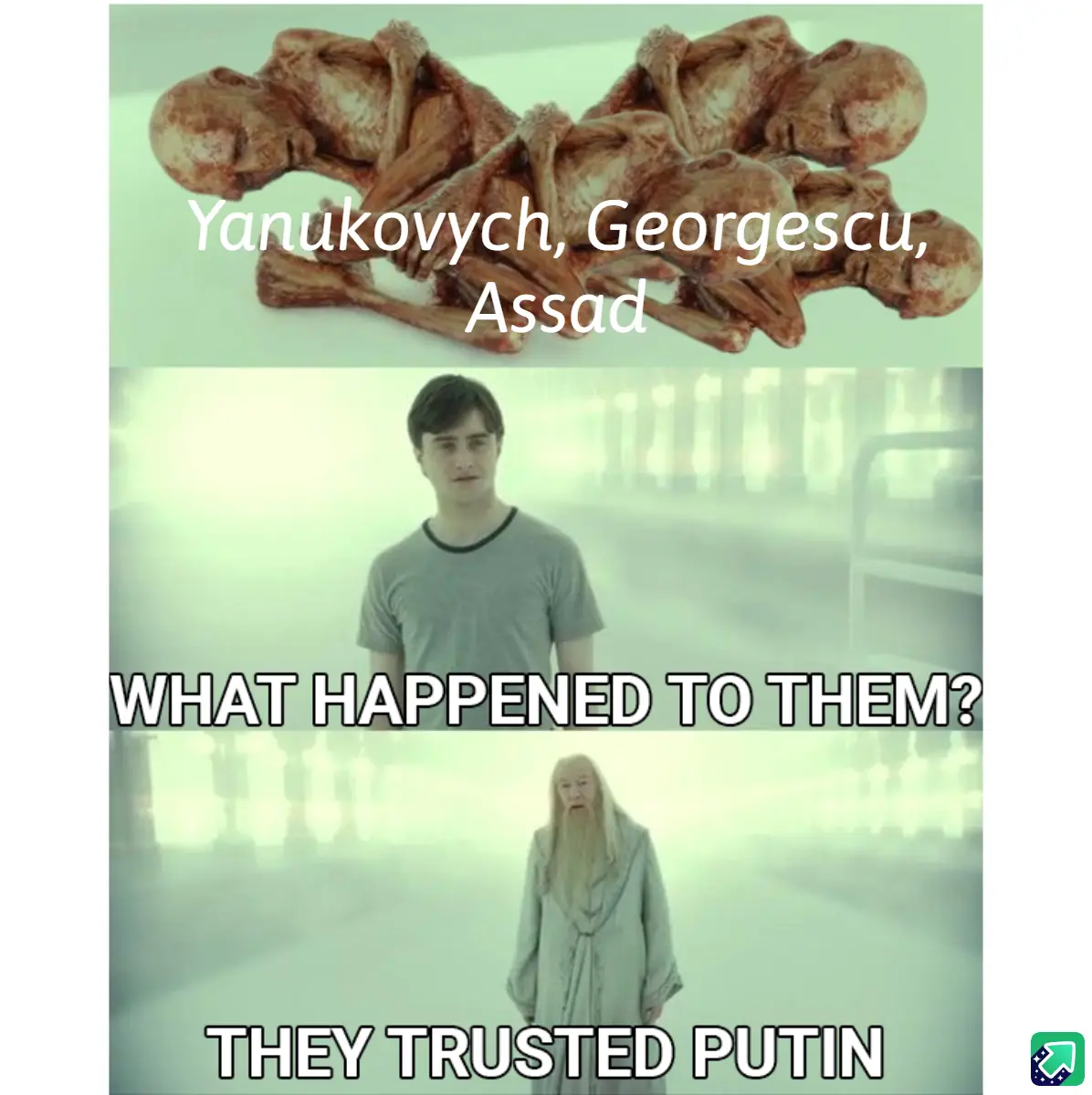 The meme features three panels: the top shows four fetal-like figures with text naming Yanukovych, Georgescu, and Assad; the…