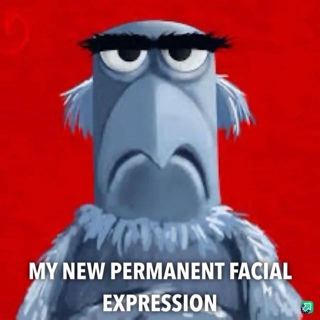 A close-up of a gray, cartoonish bird-like character with a grumpy, scowling expression, set against a solid red background…