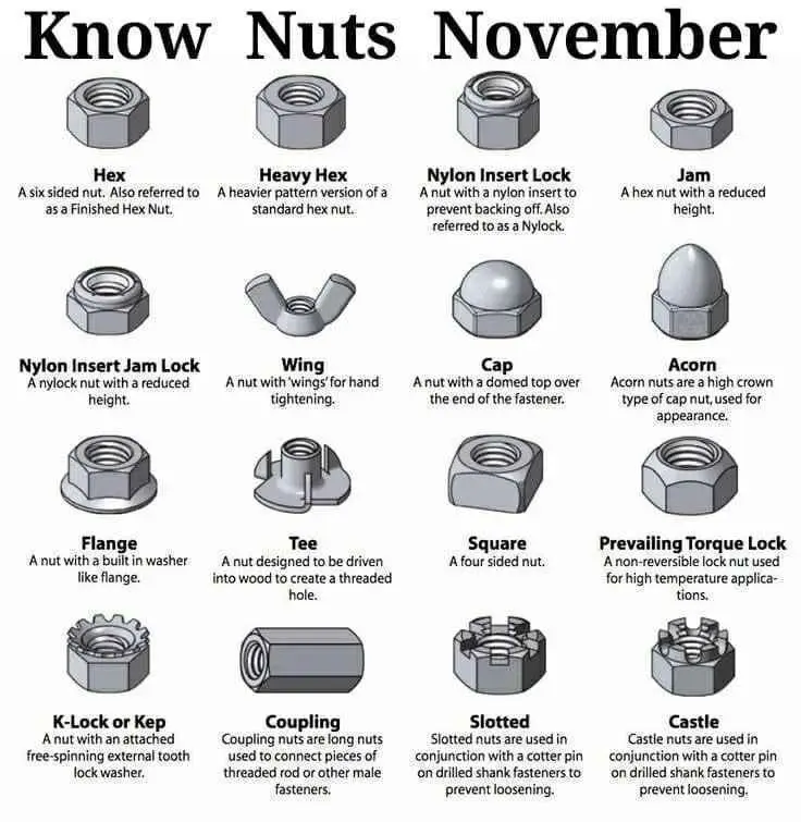 An infographic titled 'Know Nuts November' displays 16 different types of nuts with their names and descriptions, including…