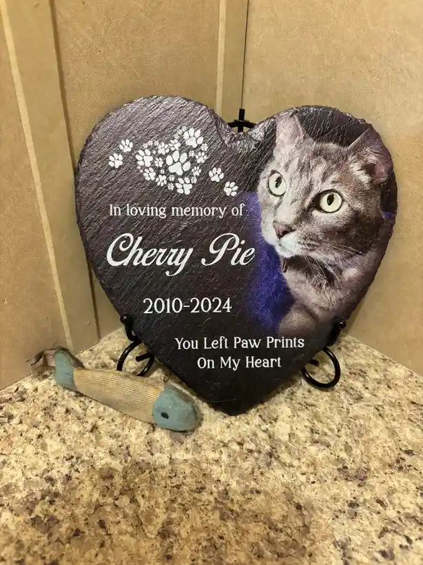 A dark grey heart-shaped memorial stone displays a photo of a grey tabby cat named Cherry Pie, with white paw print designs…