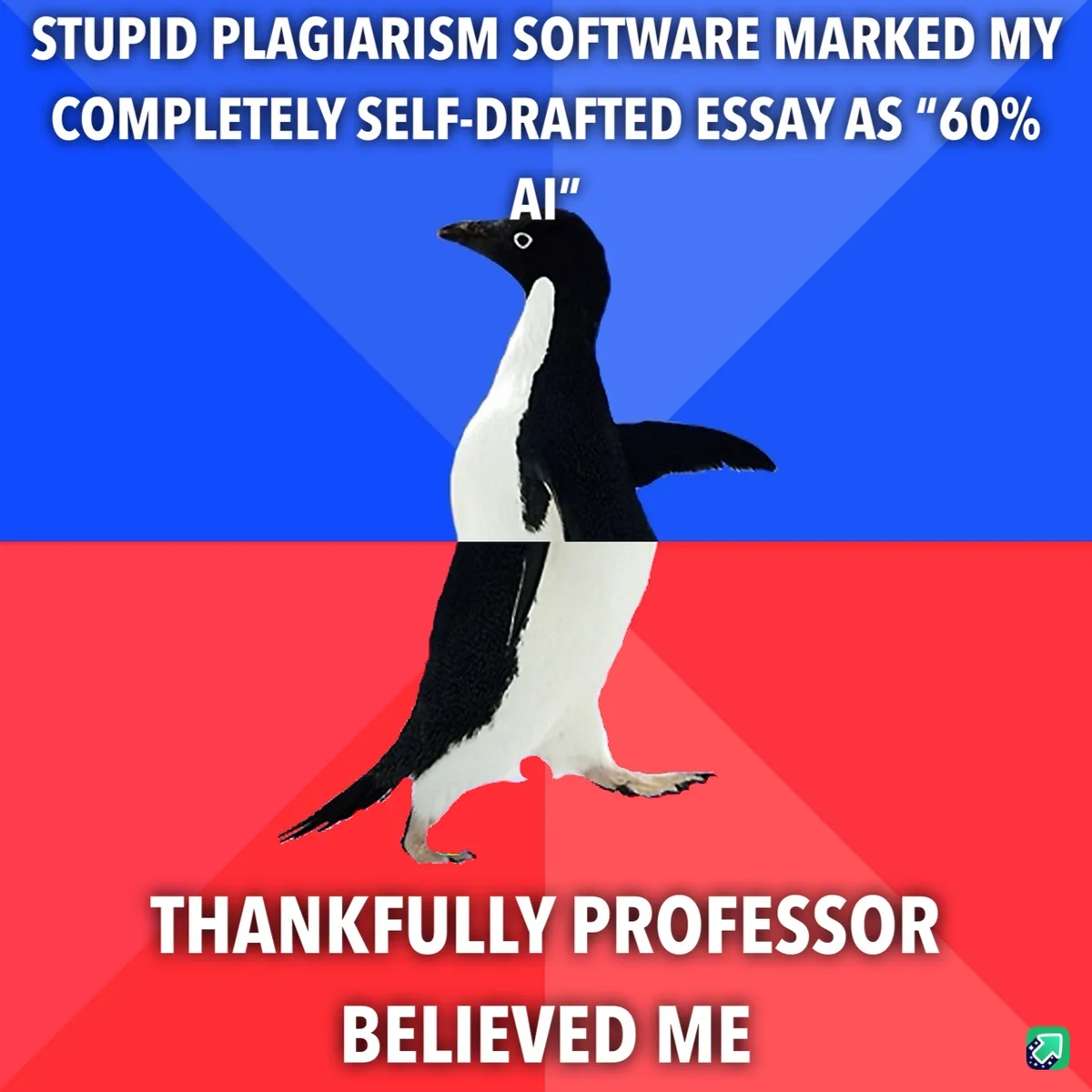 A penguin stands centered against a blue and red background, with white text overlaid. The top text reads 'STUPID PLAGIARISM…