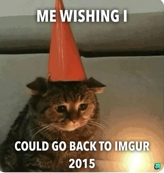 A brown tabby cat with a sad, resigned expression wears a bright orange party hat. White text overlaid on the image reads…