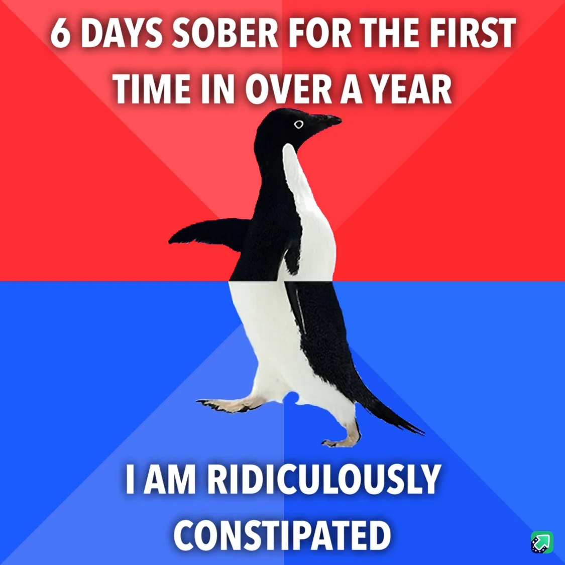A penguin stands centered against a red and blue background, with white text at the top reading '6 DAYS SOBER FOR THE FIRST…