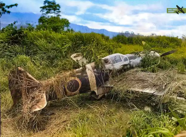 A World War II-era fighter plane lies wrecked and overgrown with vegetation in a grassy field, its fuselage covered in dried…