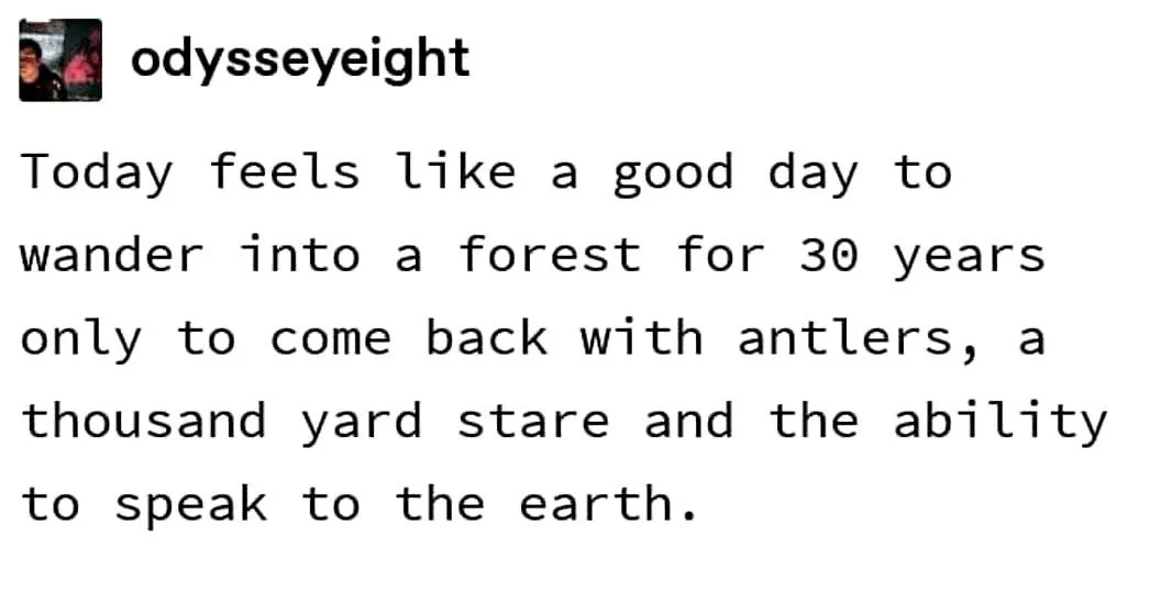 The image displays a plain white background with black text. The text is a quote attributed to 'odysseyeight' that reads…