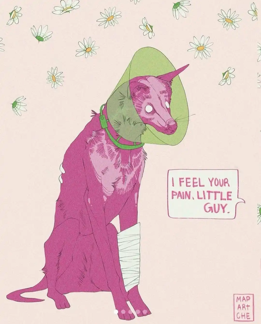 A pink, cartoonish dog with a green cone collar and a bandaged leg sits against a background of daisies. A speech bubble…