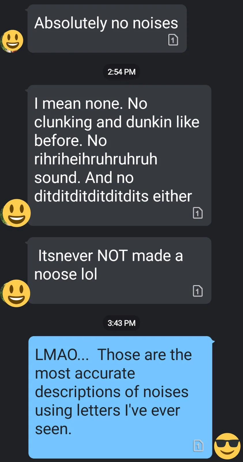 A screenshot of a text conversation where one person insists there are 'absolutely no noises,' listing nonsensical letter…