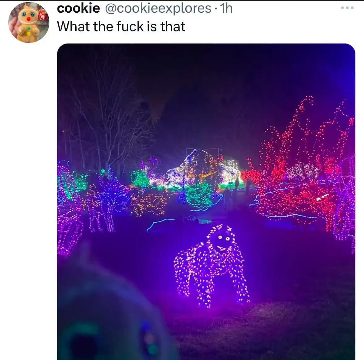 A nighttime photo of a festive light display where trees and bushes are wrapped in colorful string lights, including purple…