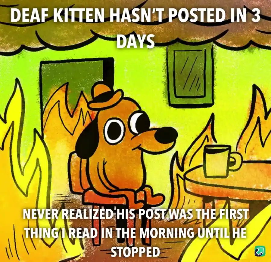 A cartoon dog wearing a hat sits calmly in a room engulfed in flames, with a mug on a table beside him. The text overlaid on…