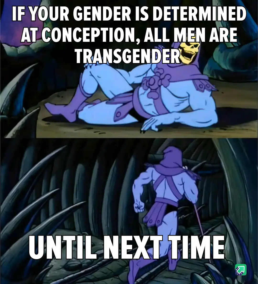 The meme features two panels of the animated character Skeletor from 'He-Man and the Masters of the Universe'. In the top…