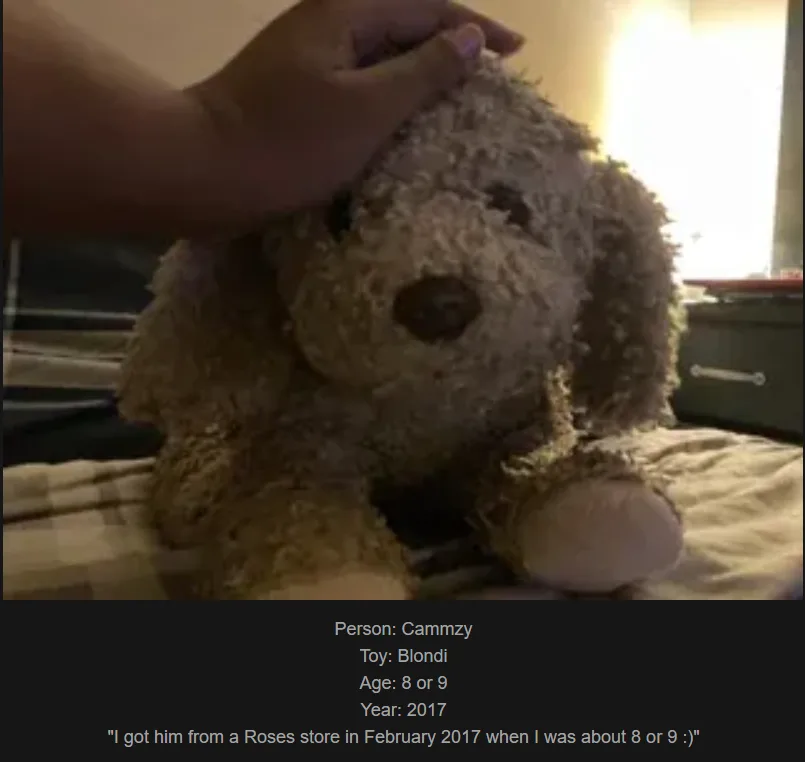 A hand gently pets the head of a well-loved, slightly worn teddy bear named Blondi, sitting on a bed. Text overlaid at the…