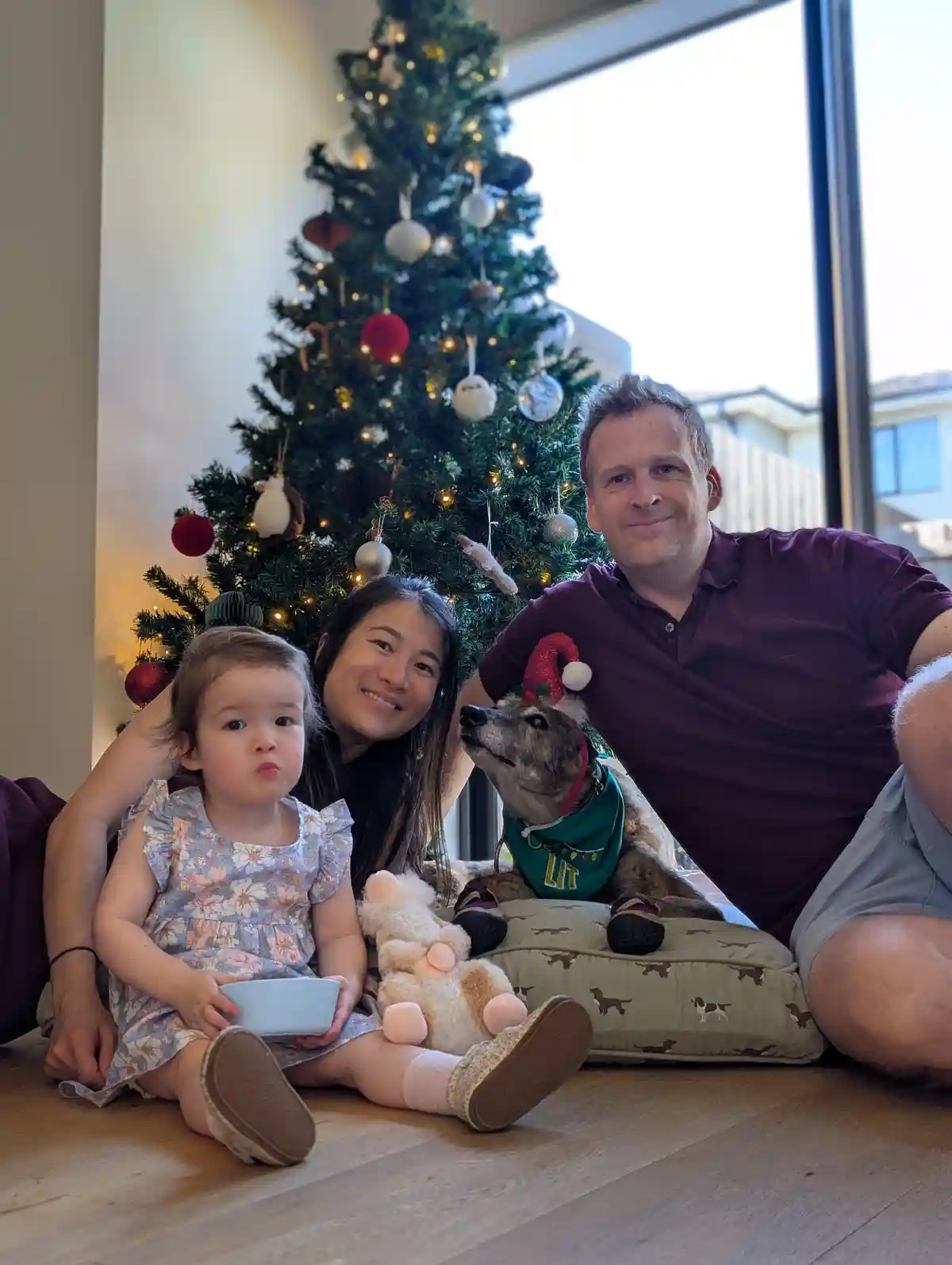 A family photo with a decorated christmas tree in the background shows a man, woman, and toddler sitting on the floor. A dog…