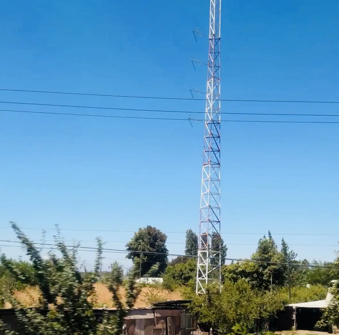 A tall, white lattice communication tower stands against a clear blue sky, surrounded by green trees and some low buildings…