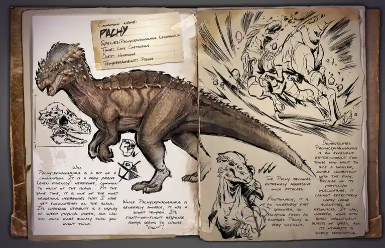 An open, aged field guide or journal shows detailed sketches and notes about the dinosaur Pachycephalosaurus. The left page…