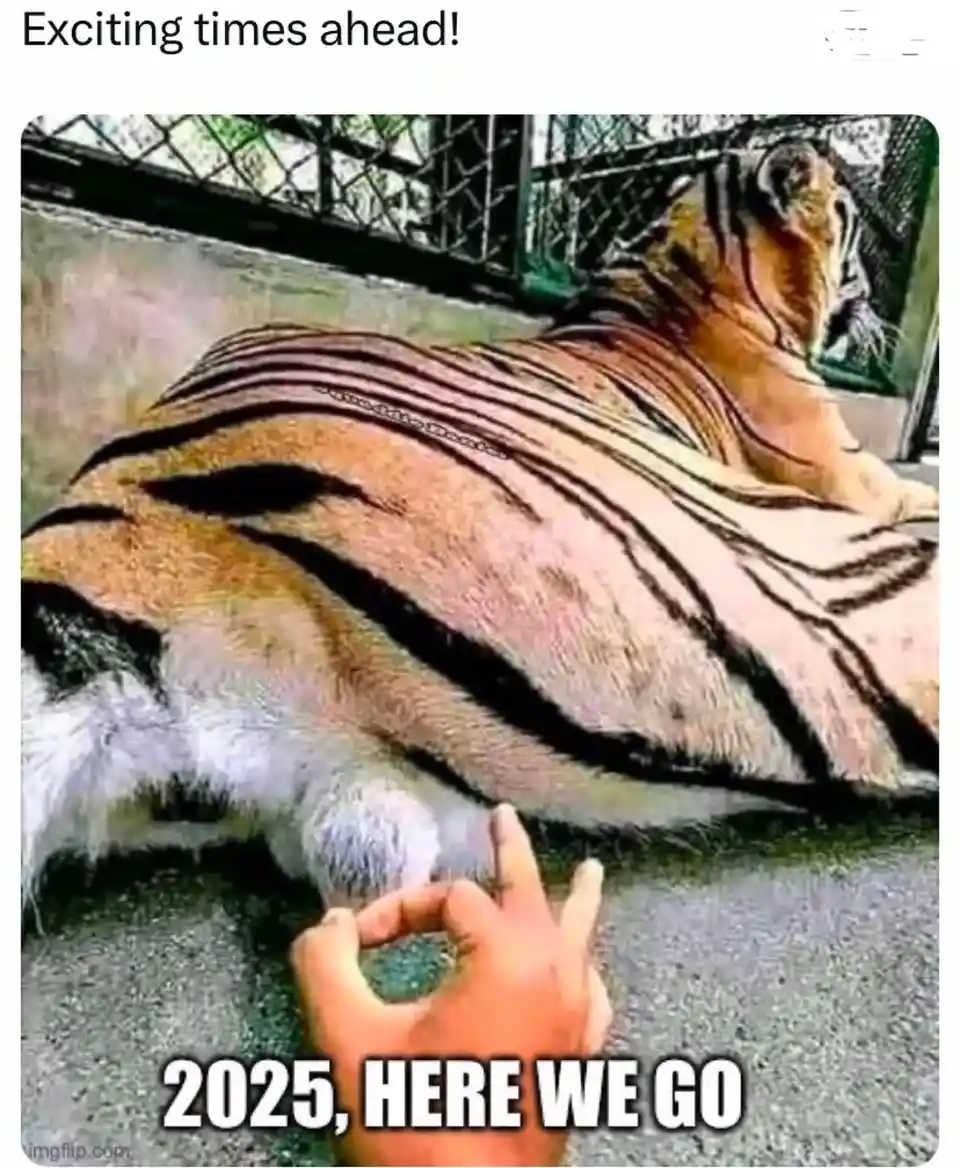 A tiger is lying down in an enclosure, viewed from behind, with a human hand making an 'okay' gesture in front of its rear…
