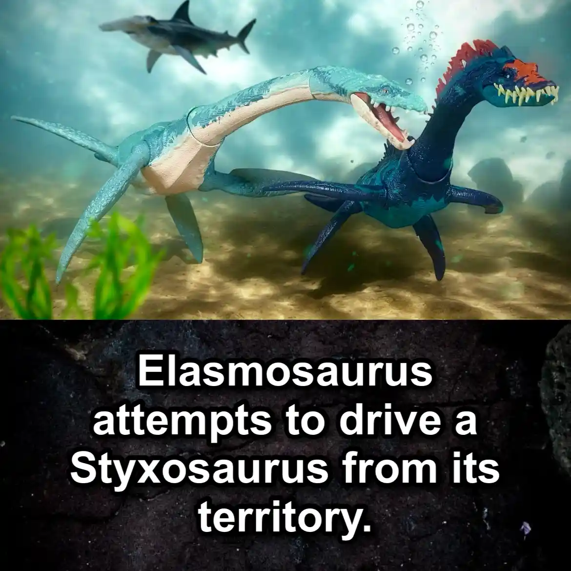 Meet the Territorial Elasmosaur: A Jurassic Wonder