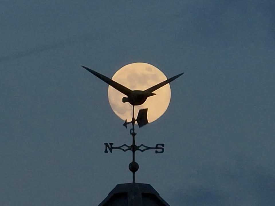 Behold the Majestic Full Moon