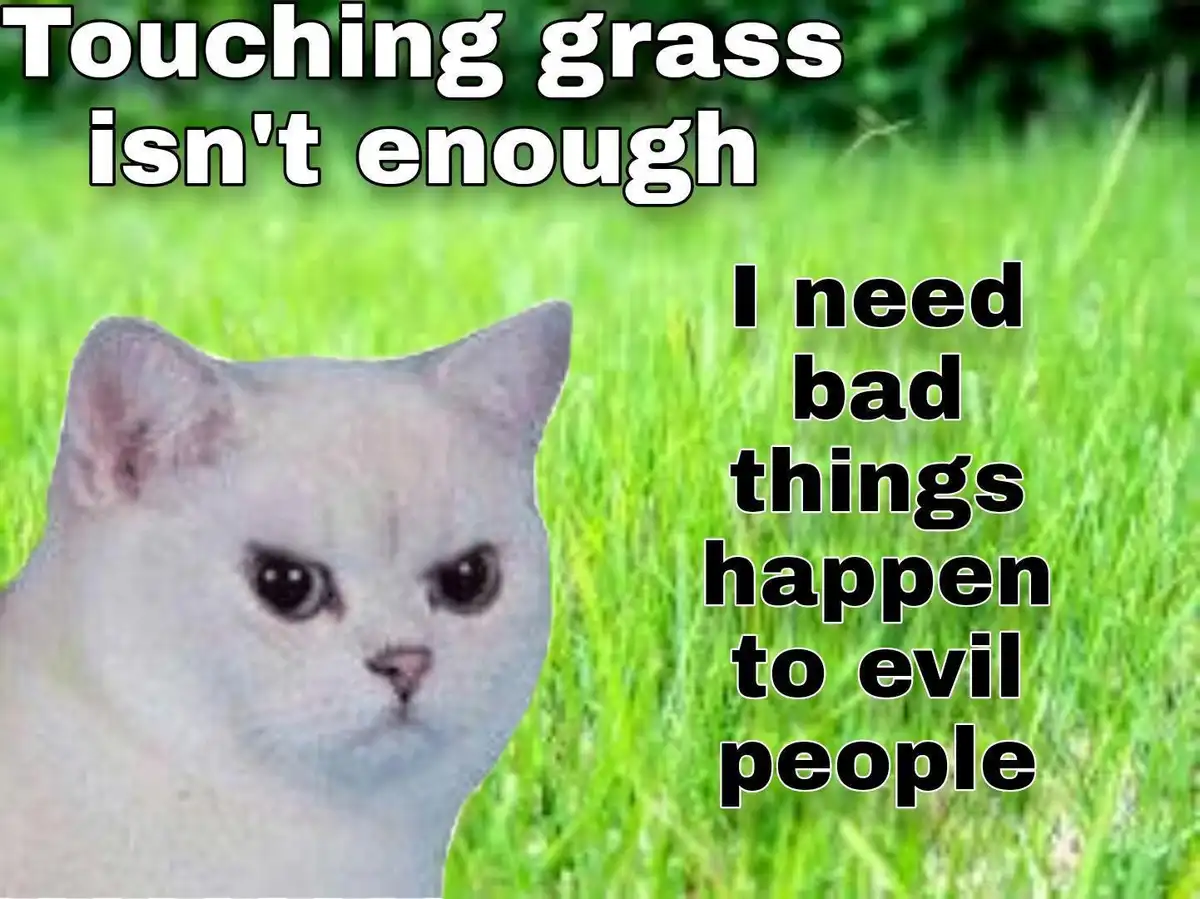 A white cat with a stern, unamused expression is superimposed over a blurry green grass background. The text at the top…