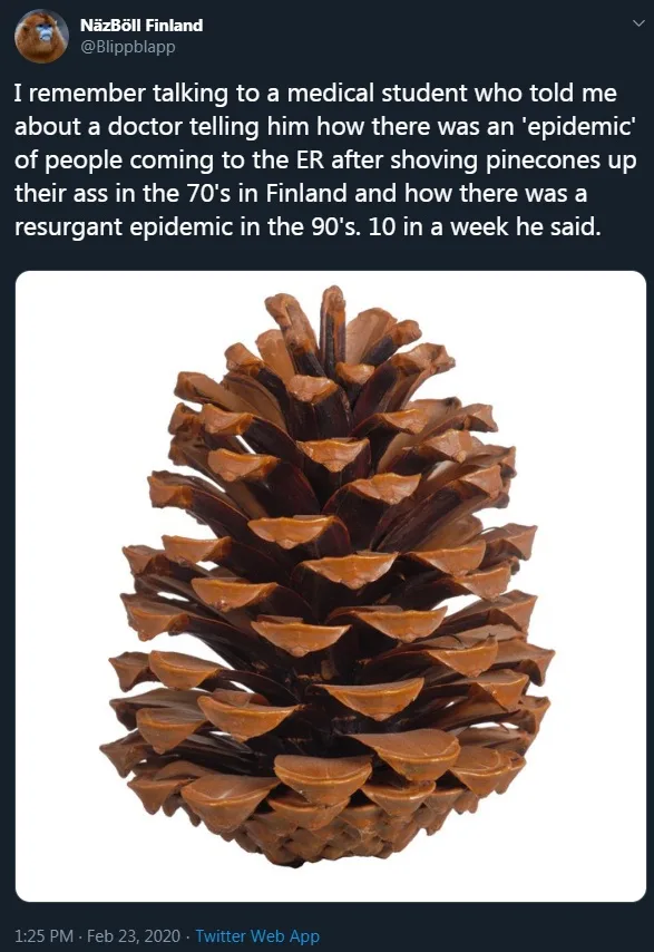 A close-up photograph of a single, brown pinecone against a plain white background. Overlaid text from a tweet recounts a…