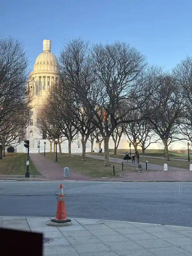 A photograph shows a large, white-domed state capitol building in the background under a clear blue sky, framed by bare…