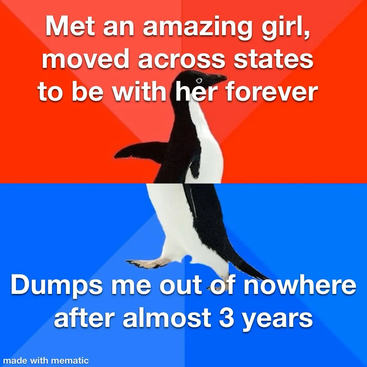 A penguin stands against a red and blue background, split horizontally. The top half has white text reading 'Met an amazing…