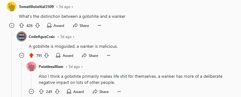 A screenshot of a Reddit thread where a user asks for the distinction between 'gobshite' and 'wanker'. A reply defines a…
