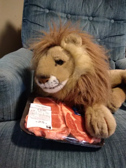 A plush lion toy sits on a blue upholstered chair, its head resting near a package of raw beef steaks. The text overlaid on…
