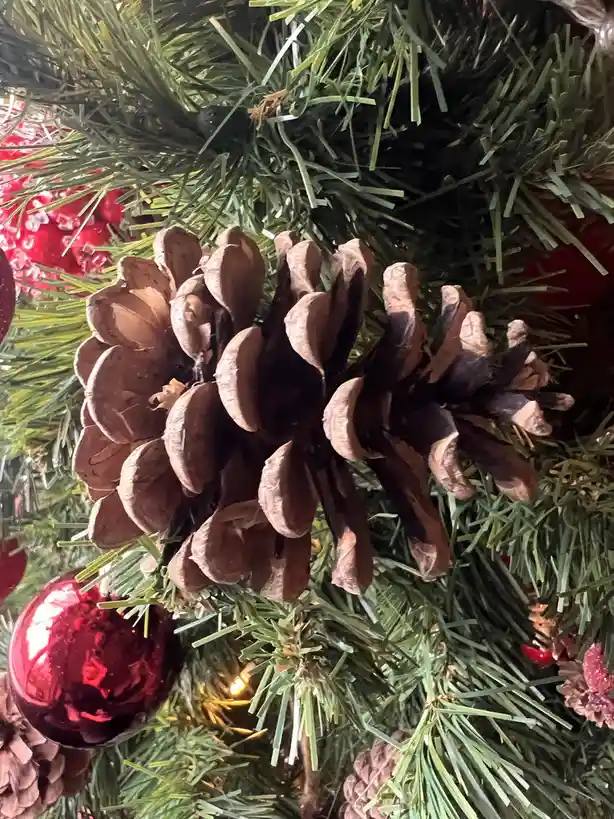 A close-up photo shows two brown pinecones nestled among green artificial Christmas tree needles, with shiny red ornaments…