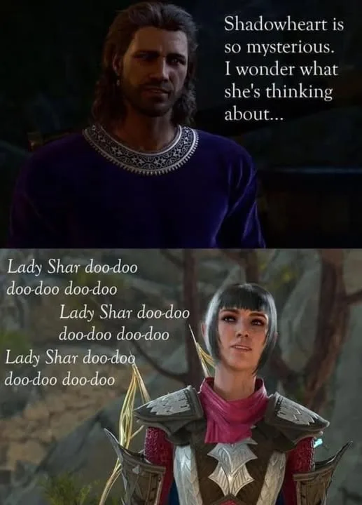 The meme features two panels from the game Baldur's Gate 3. The top panel shows a male character, presumably the player's…