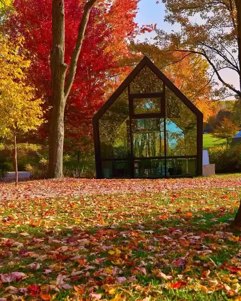 A modern glass house with a dark metal frame sits in a vibrant autumn forest, surrounded by fallen red, orange, and yellow…