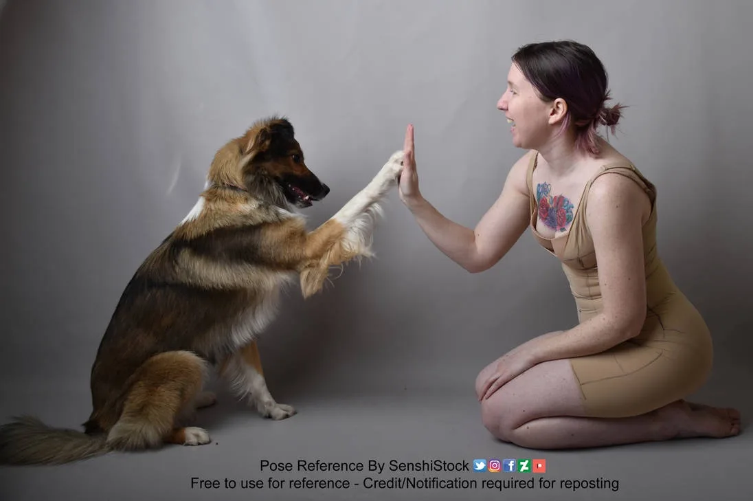 A woman in a beige bodysuit kneels and gives a high-five to a fluffy brown and black dog that is sitting upright and raising…
