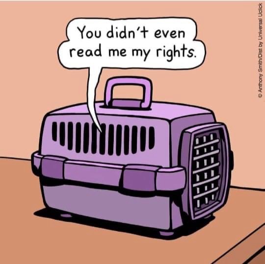 A cartoon purple pet carrier with a speech bubble above it that says 'You didn't even read me my rights.' The carrier is…