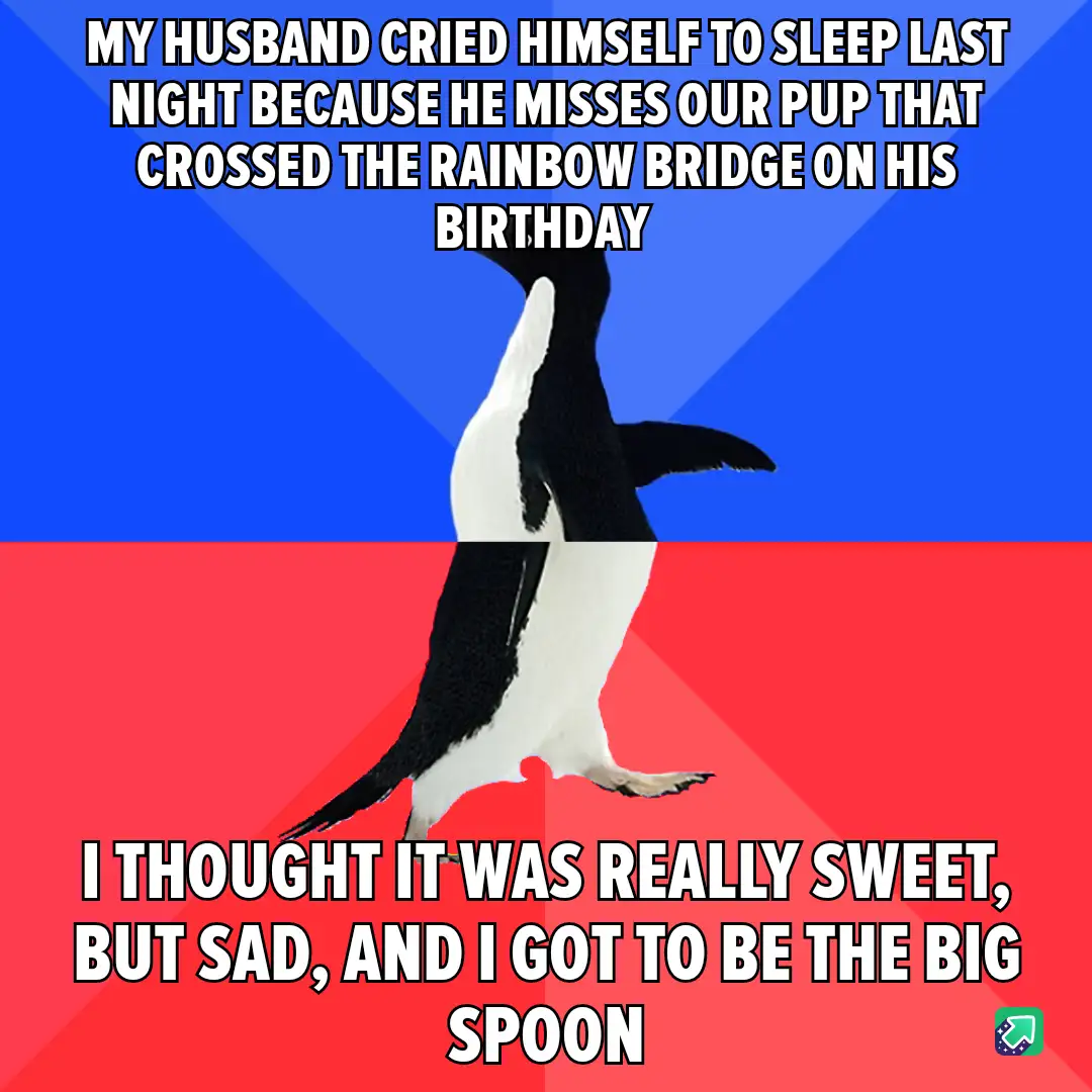 A penguin stands centered against a split blue and red background, with white text overlaid in two sections. The top text…