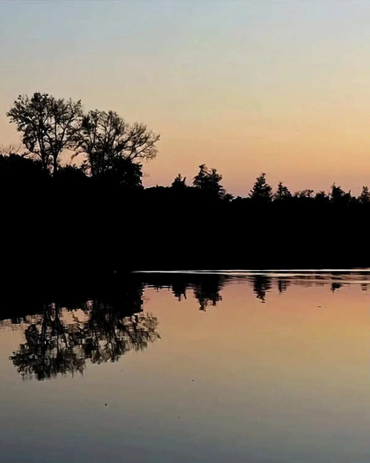 A serene sunset over a calm body of water, with silhouetted trees along the horizon and their distorted reflections in the…