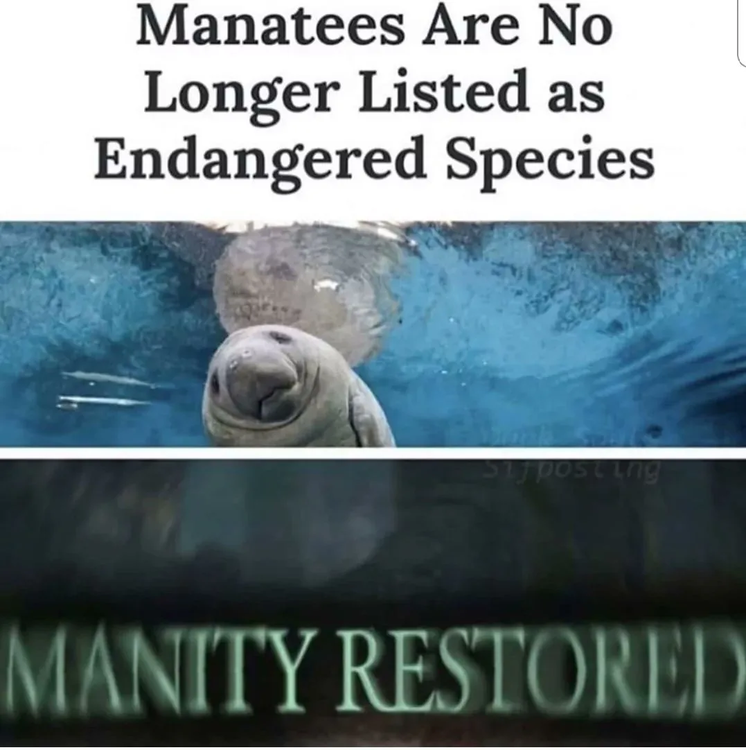 The image shows a manatee looking up from underwater with a calm, slightly smiling expression. Above the manatee, bold text…