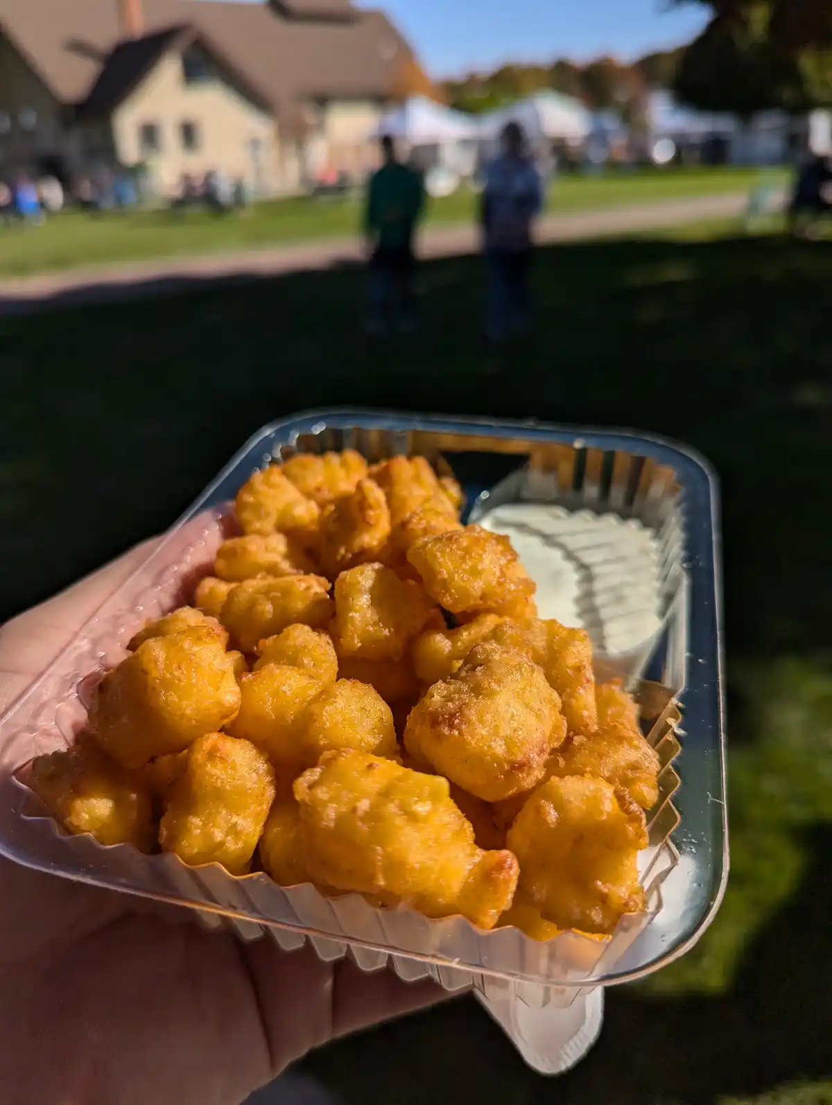 A hand holds a clear plastic container filled with golden-brown, crispy-looking tater tots and a small compartment of white…