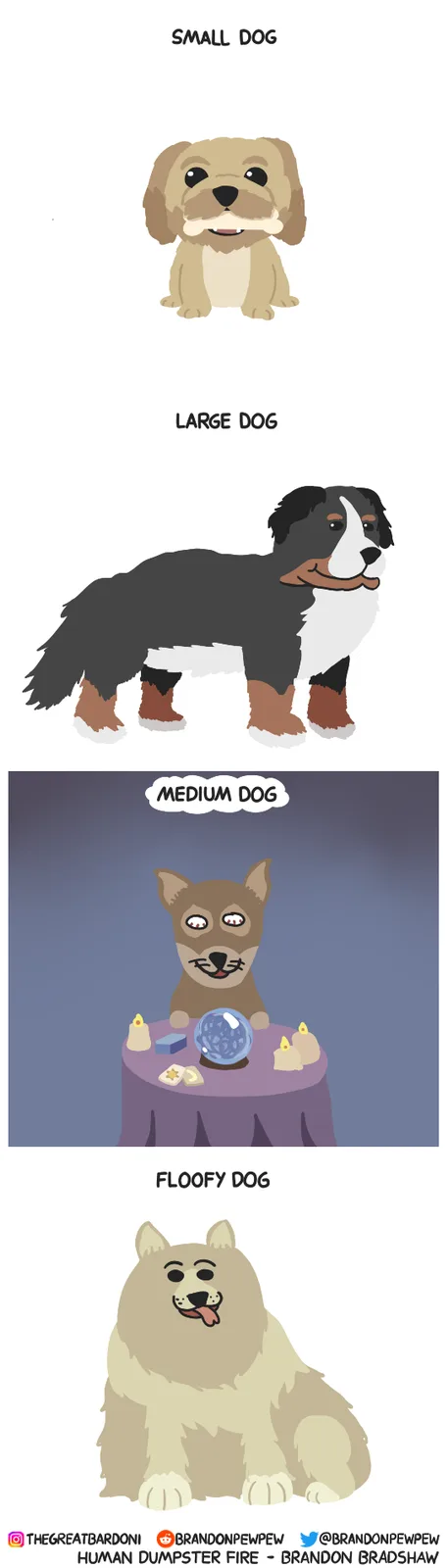 The image displays four cartoon dogs labeled 'SMALL DOG', 'LARGE DOG', 'MEDIUM DOG', and 'FLOOFY DOG'. The 'MEDIUM DOG' is…