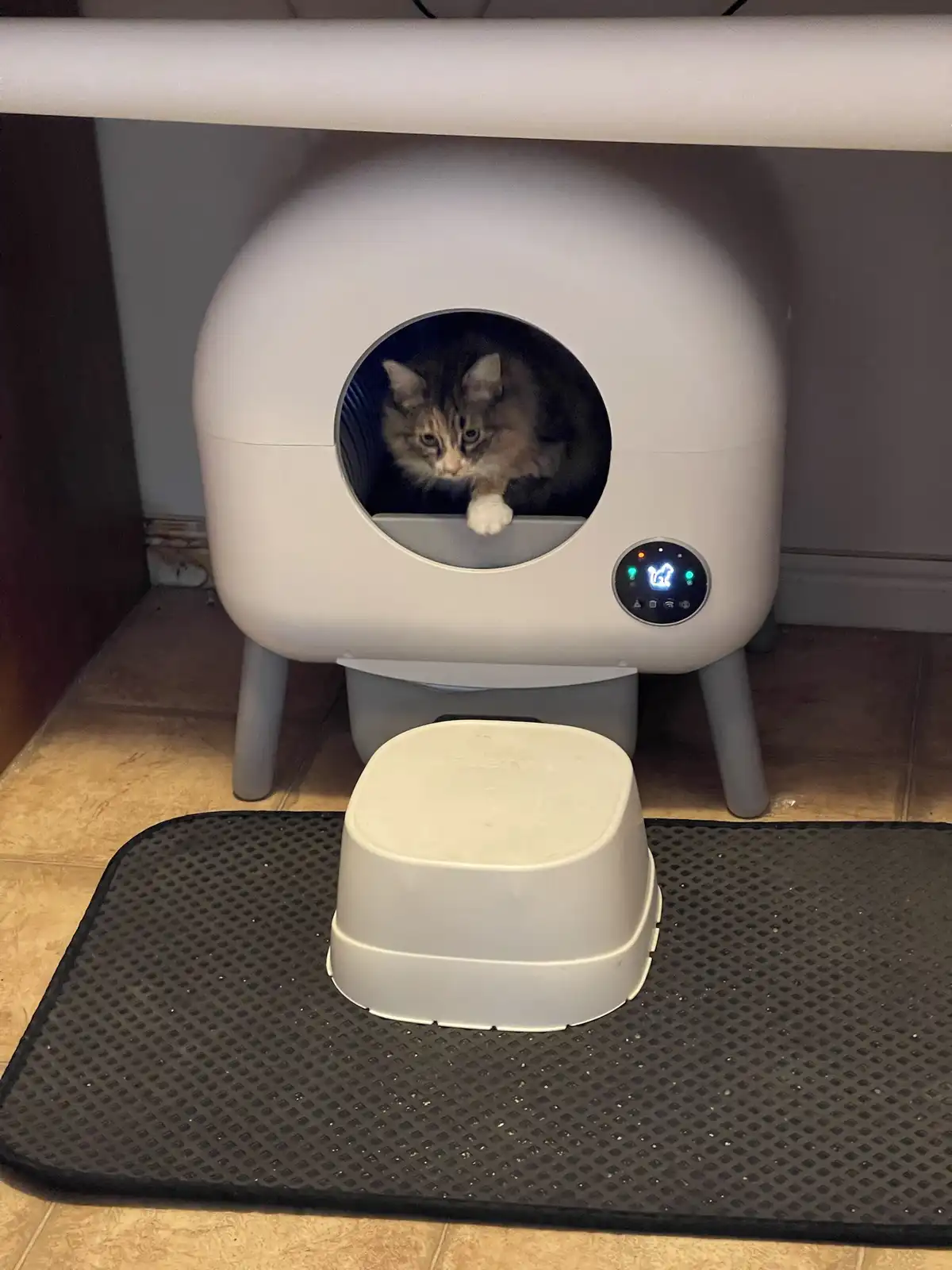The Perfect Christmas Gift