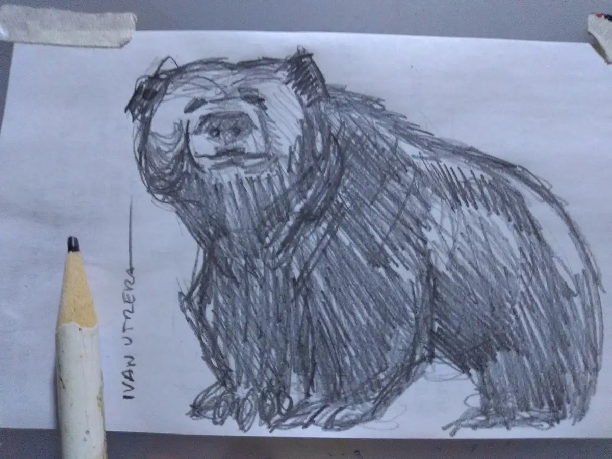 A Bear Encounter Like No Other