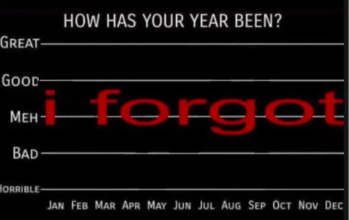 A black screen displays a vertical rating scale titled 'HOW HAS YOUR YEAR BEEN?' with options from 'Great' to 'Horrible'…