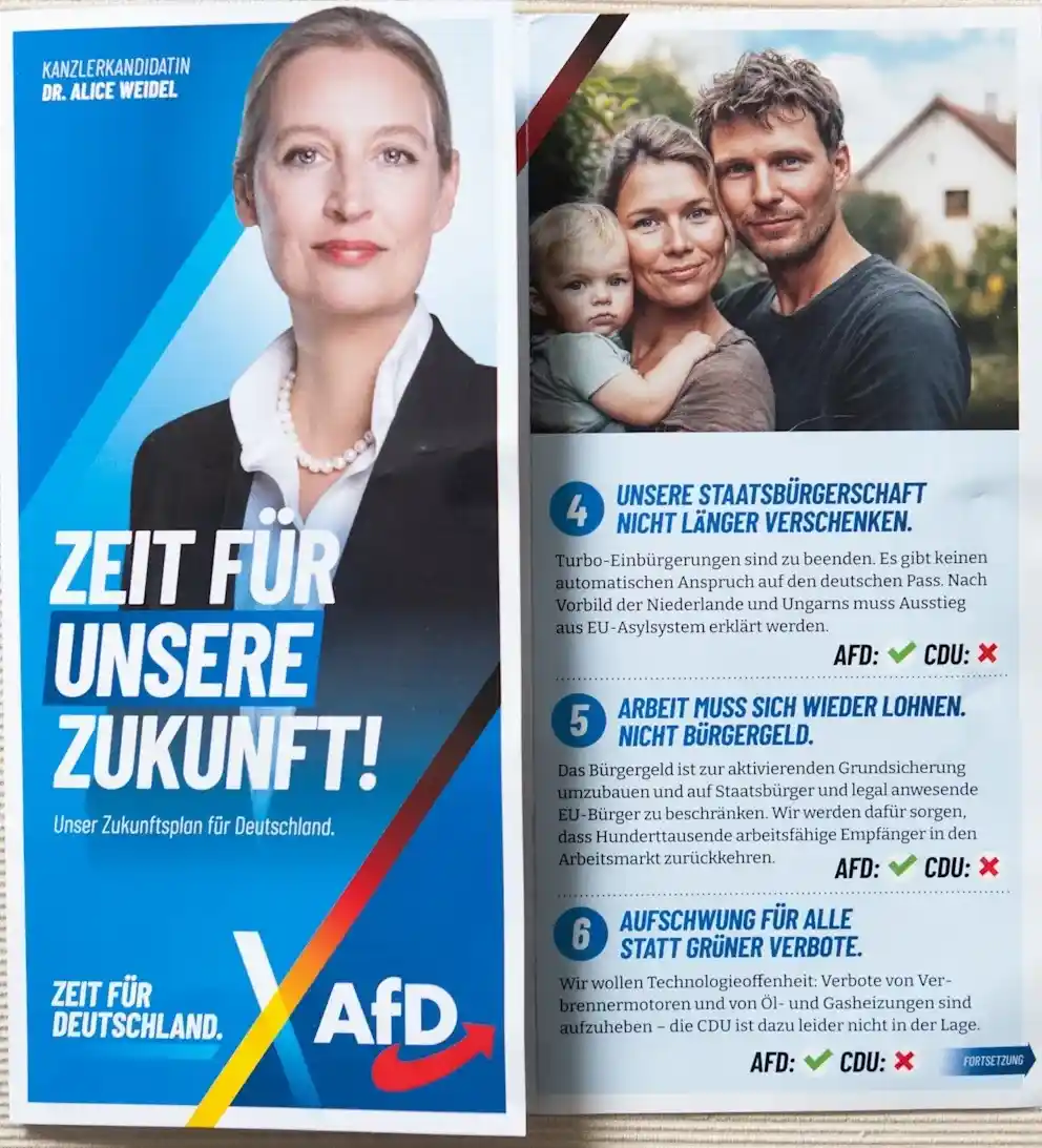 The image displays two political flyers side by side. The left flyer features a portrait of Dr. Alice Weidel, labeled…