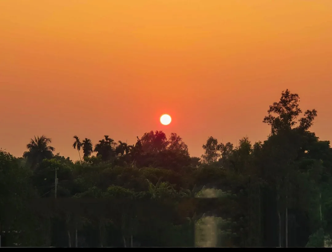 A serene sunset photo with a bright orange sun low on the horizon, silhouetting palm trees and dense foliage against a…