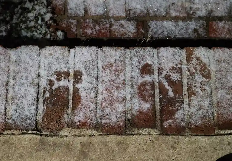 A close-up photo of red bricks covered in a light layer of snow or frost, where the snow has partially melted or been…